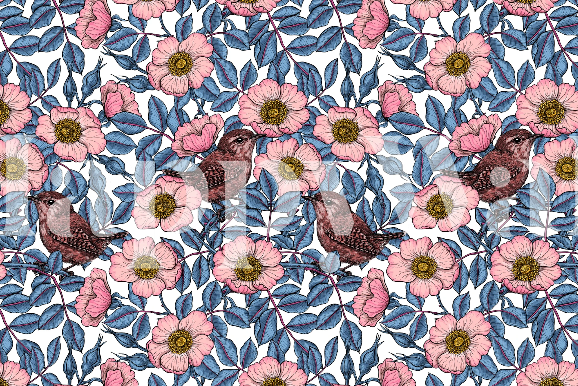 Wrens in the roses tapetdesign