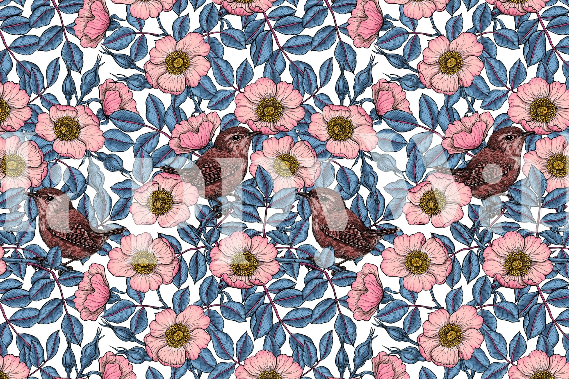 Wrens in the roses wallpaper design