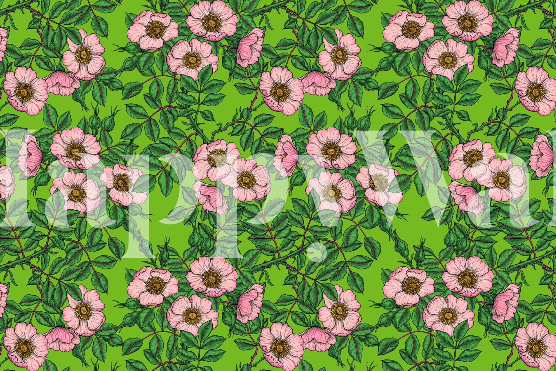 Psie róże w pastelowych kolorach z fototapetą z zielonymi liśćmi