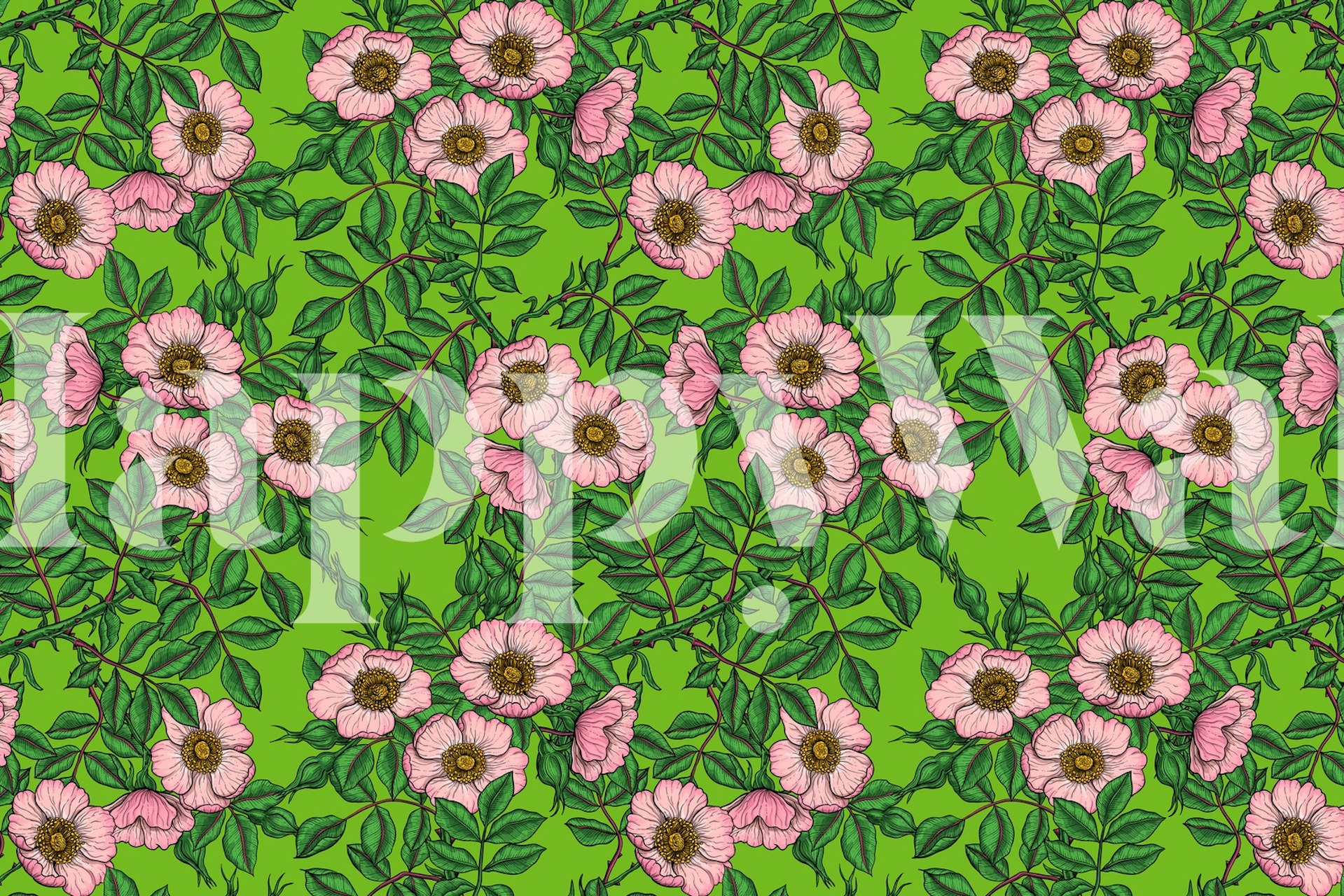 Dog roses in pastel colors with green foliage wall mural