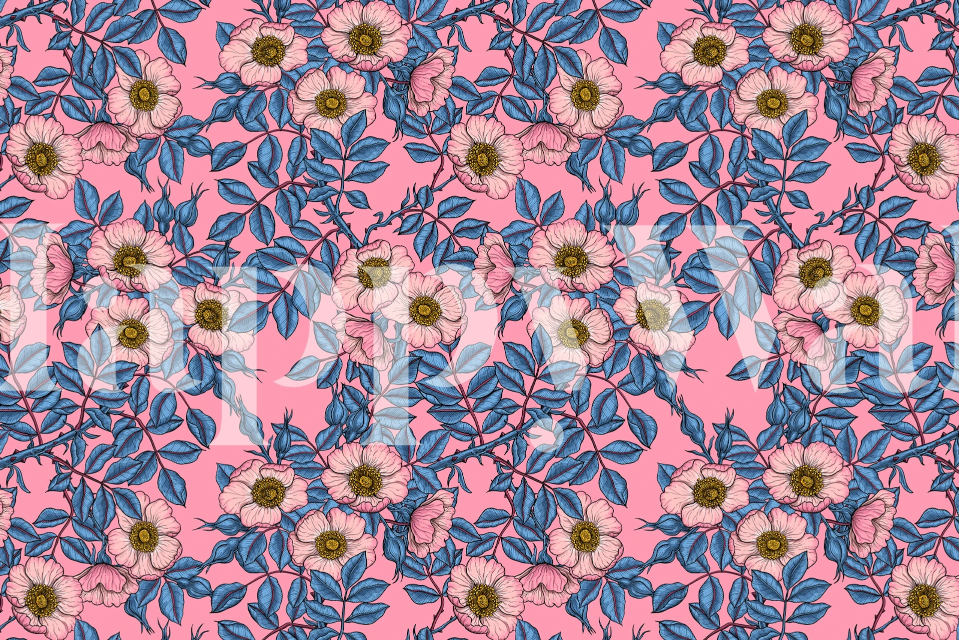 Dog roses on pink vzor tapety