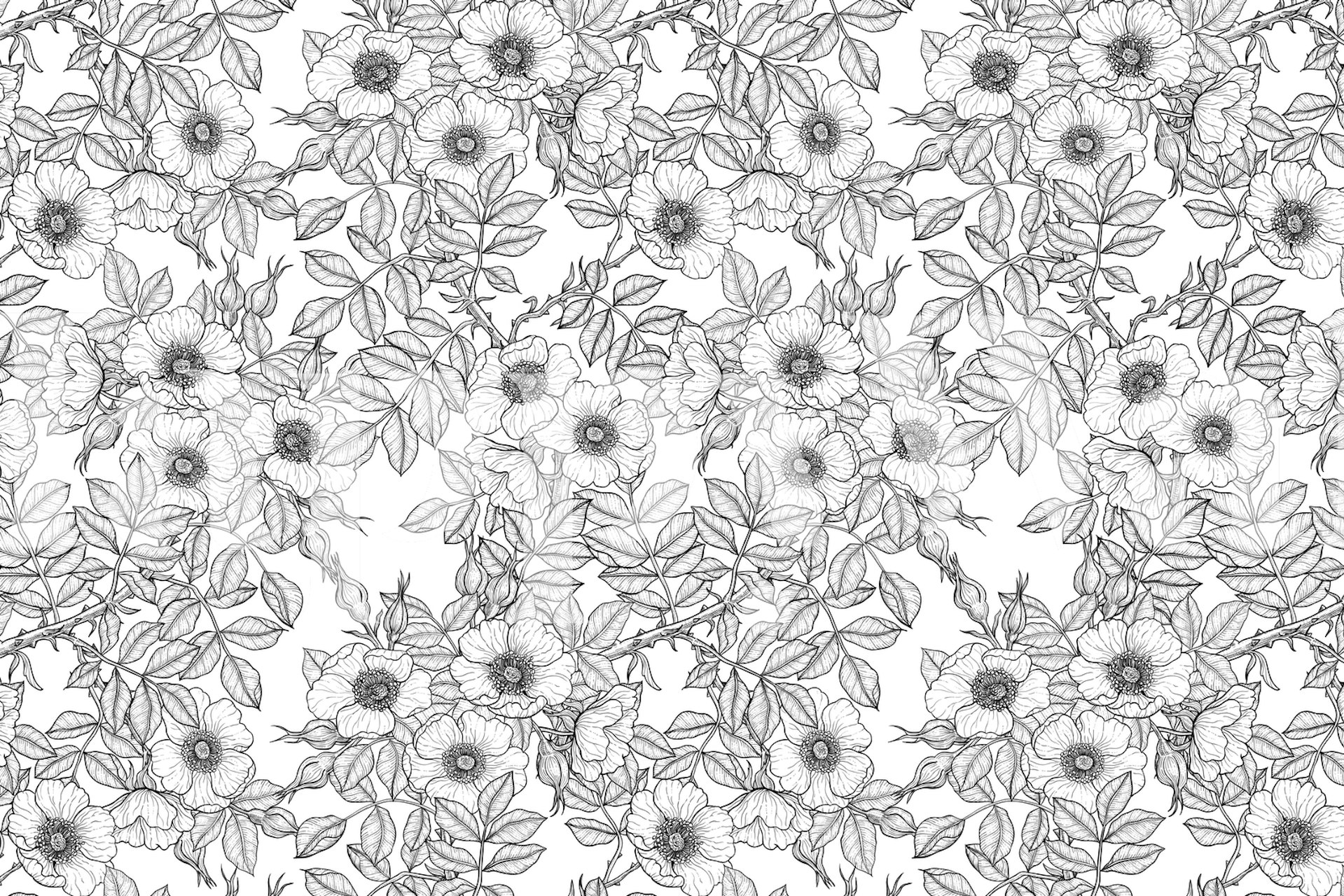 Dog Roses 2 floral wall mural with blooming roses and foliage