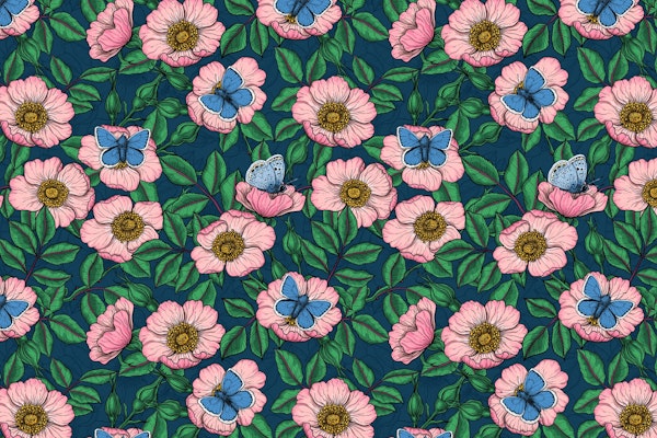 Dog rose and butterflies 3