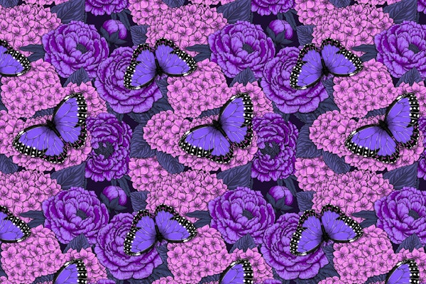 Blue morpho garden 2