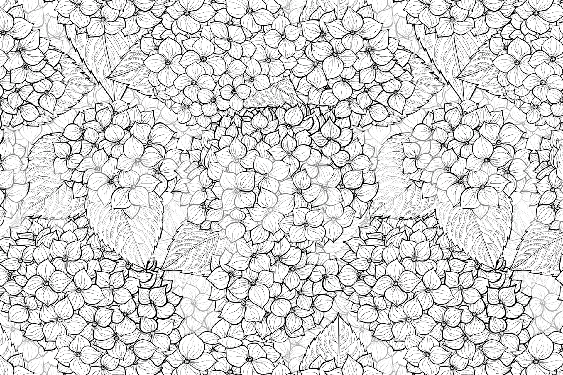 Line-drawn hydrangea flowers and leaves in black and white wallpaper