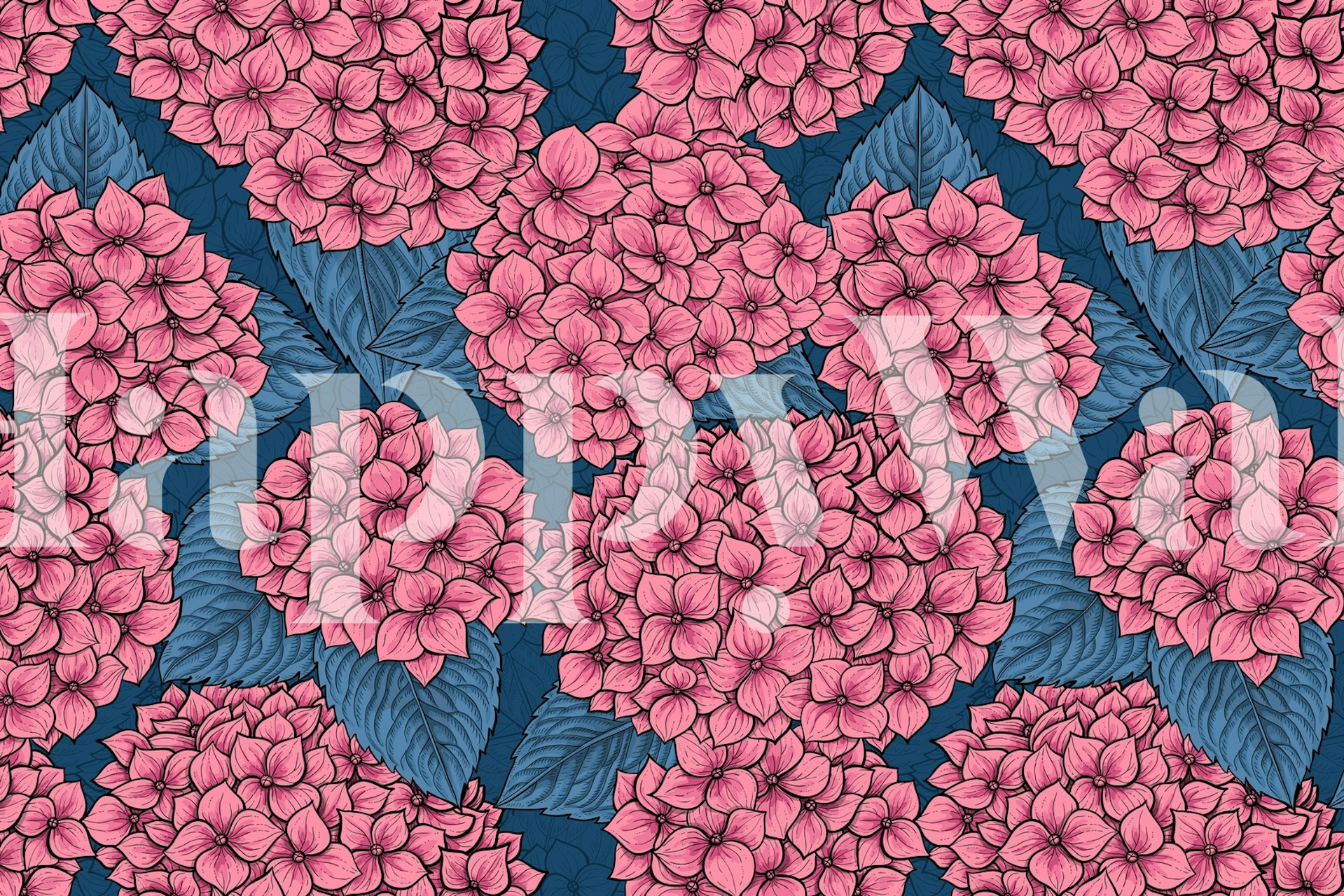 Pink hydrangeas with green leaves on dark blue background wallpaper