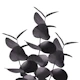 Eucalyptus Leaves Black 1