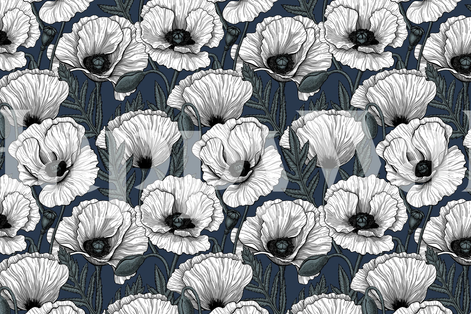 White poppy flowers on a dark background wall mural