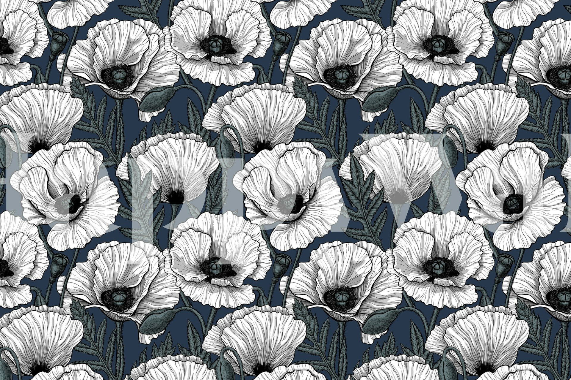 White poppy flowers on a dark background wall mural