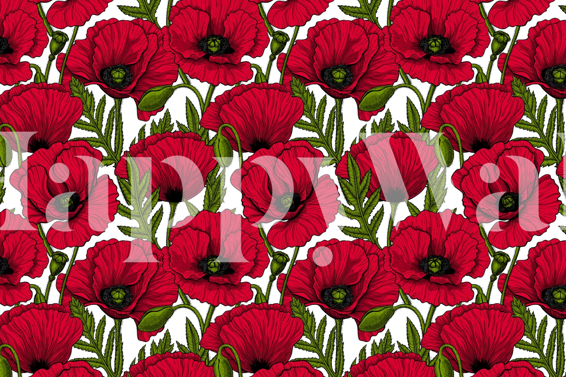 Red Poppy garden tapetti huoneessa