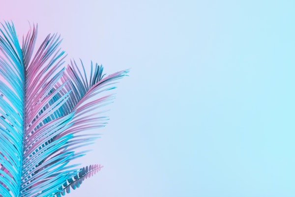 Tropical pastel palm leaves