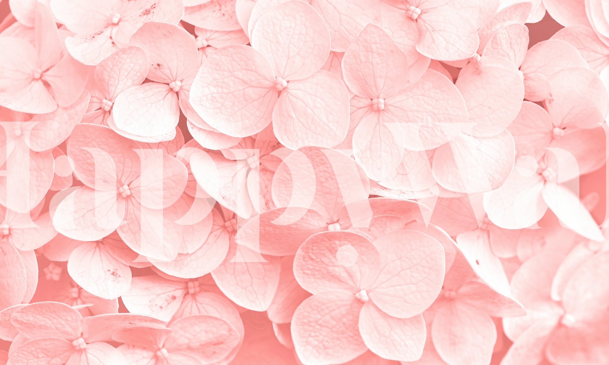 Pastel pink floral patterns with delicate shapes wallpaper