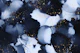 Ink Blue Gold 22
