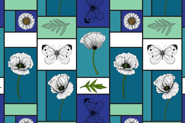 Poppies in colorful boxes