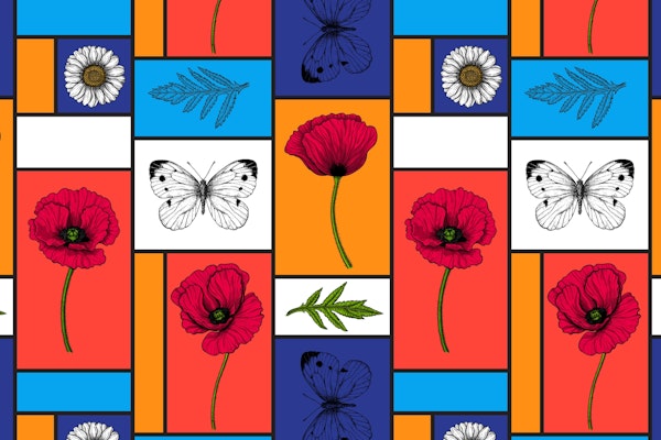 Poppies in colorful boxes 3