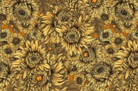 Chrysanthemum 3 carta da parati