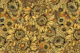 Chrysanthemum 3