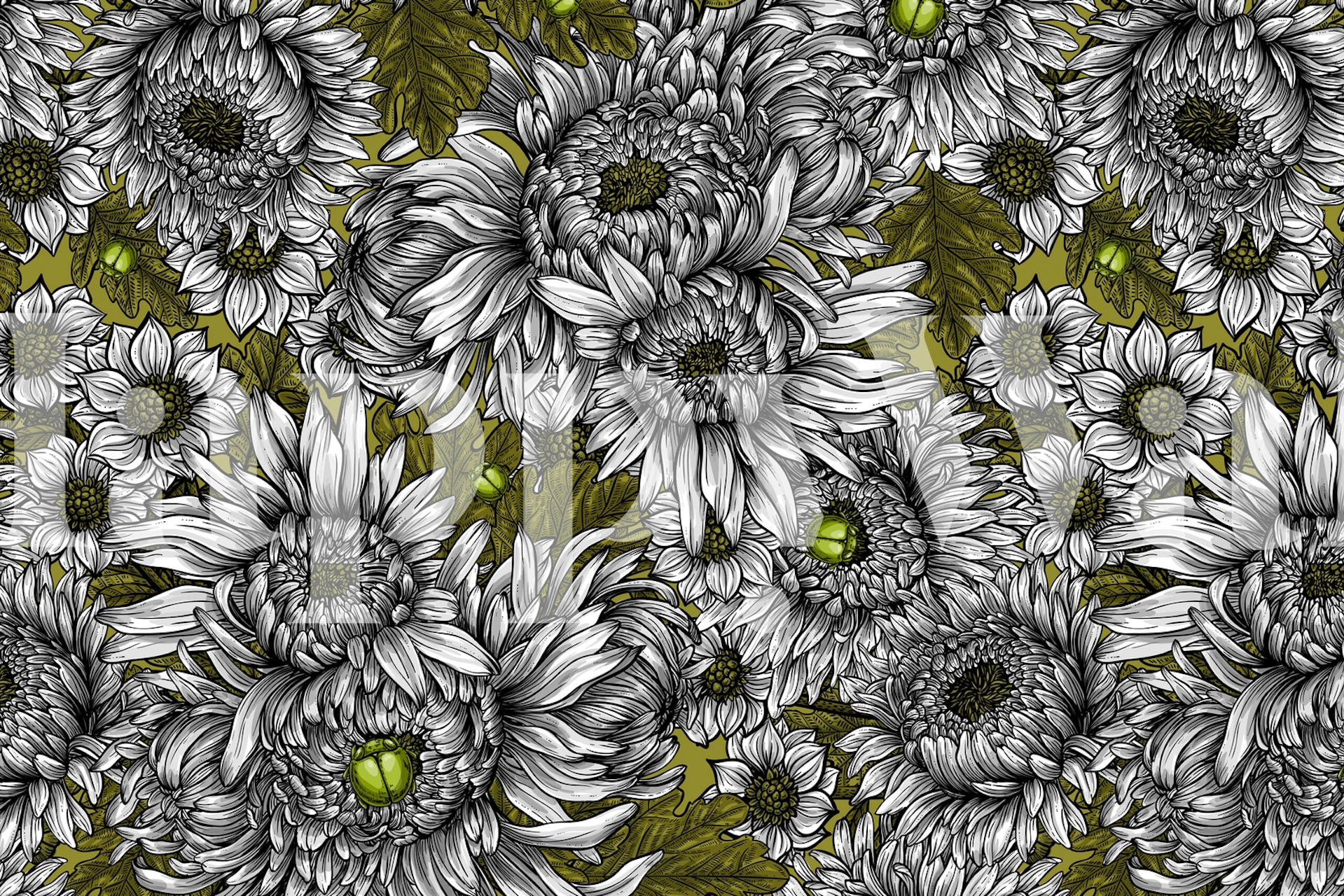 Papier peint floral Chrysanthemum 4 dans une pièce