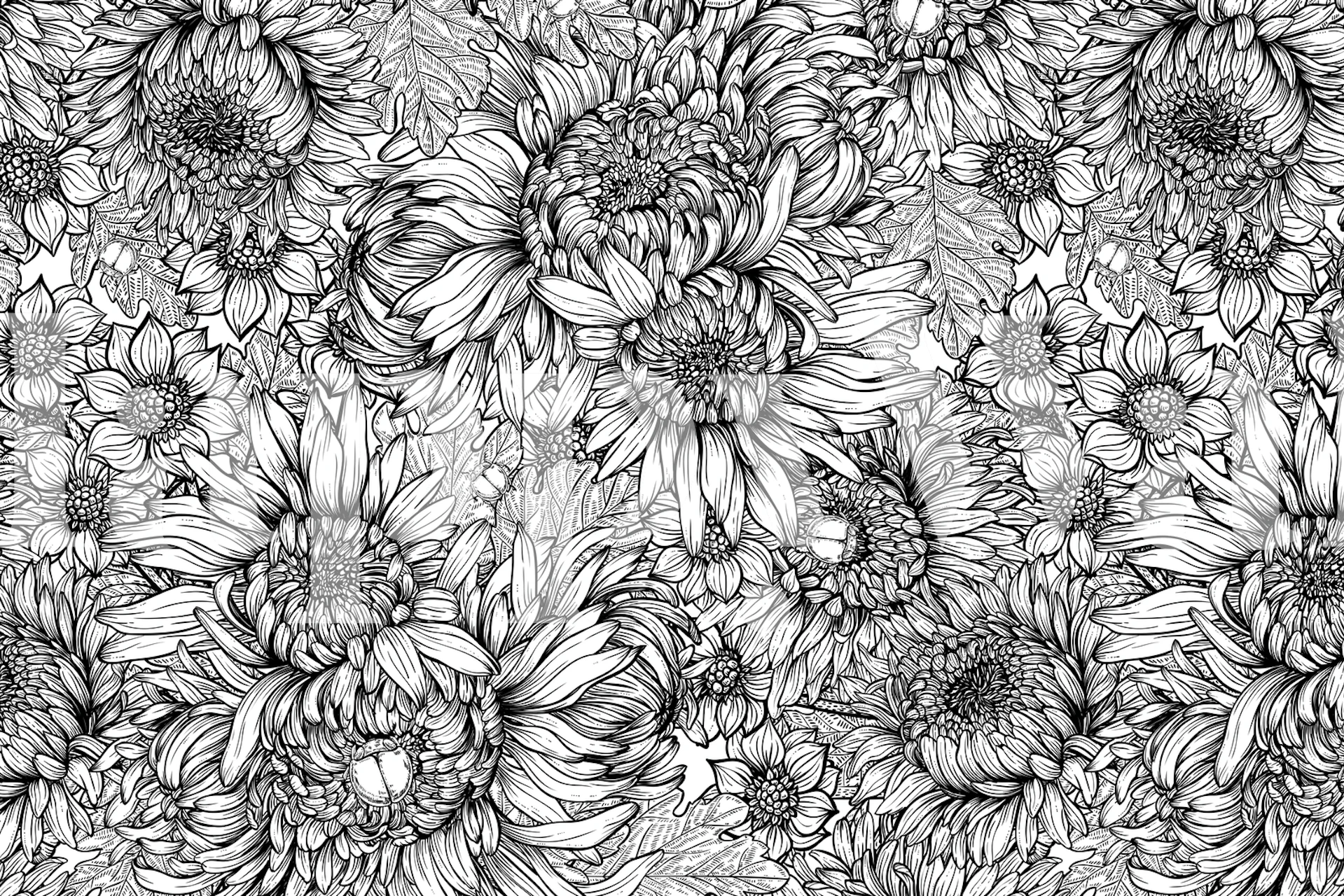 Chrysanthemum 6 floral wallpaper in a room