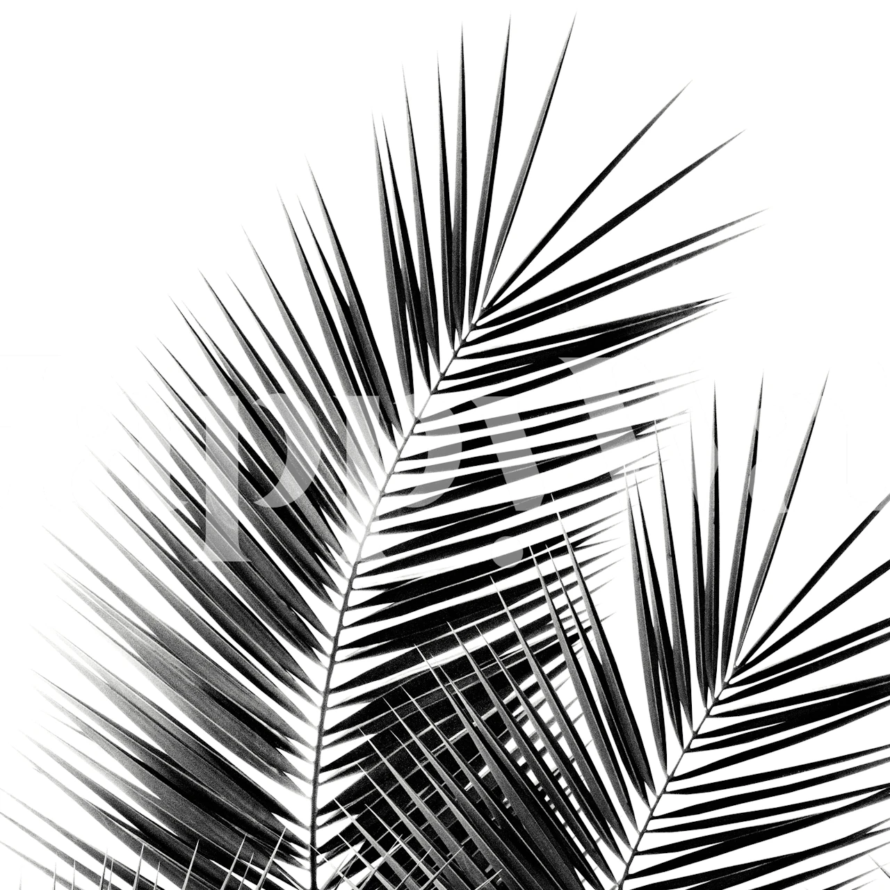 Black palm leaves wallpaper in a room