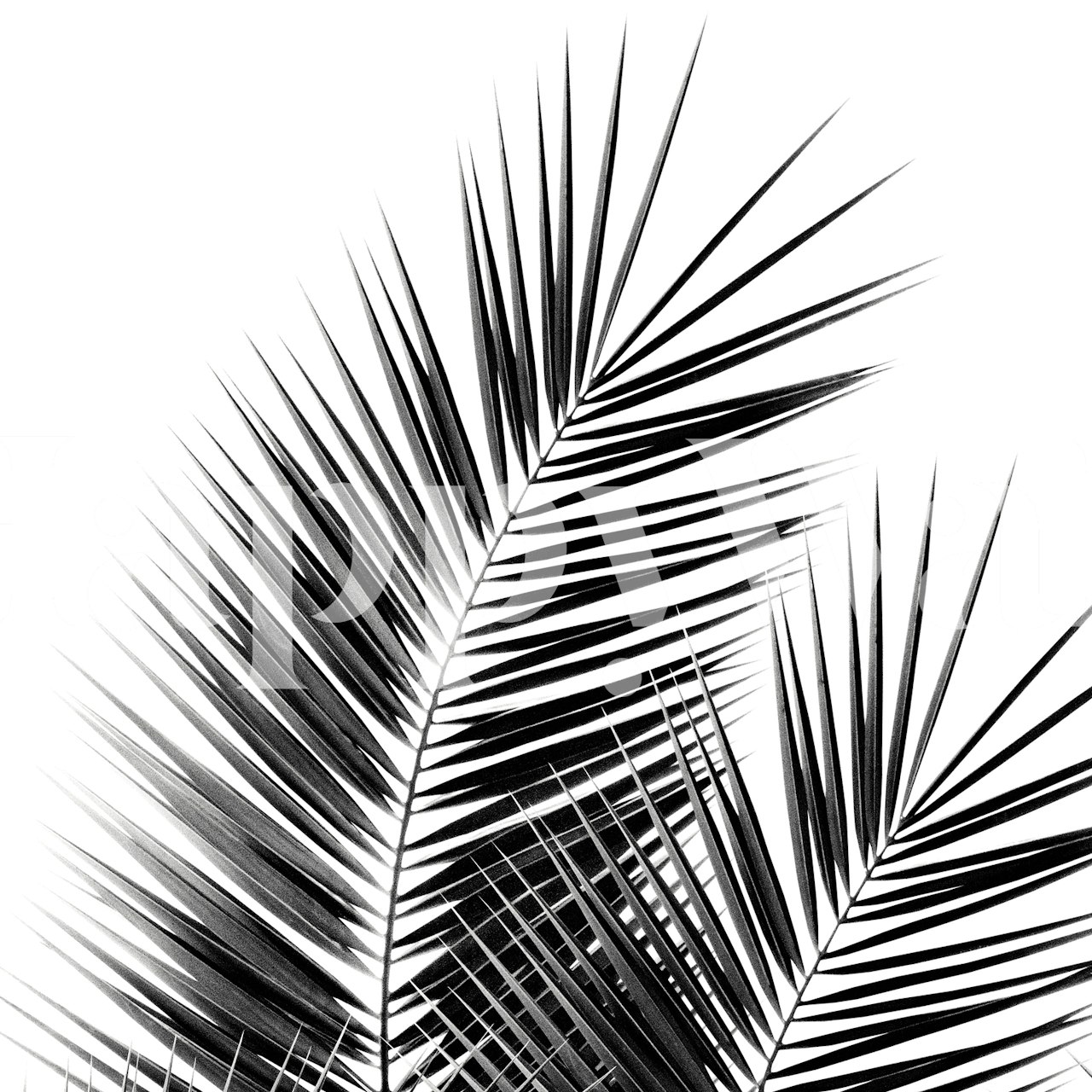 Ταπετσαρία Black Palm Leaves σε ένα δωμάτιο