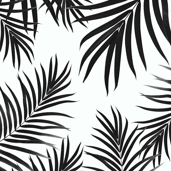 Palm Leaves Pattern Summer 2