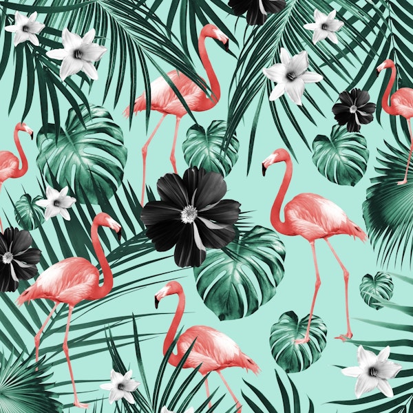 Tropical Flamingo Flower 3