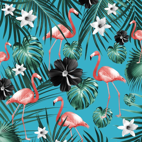 Tropical Flamingo Flower 2