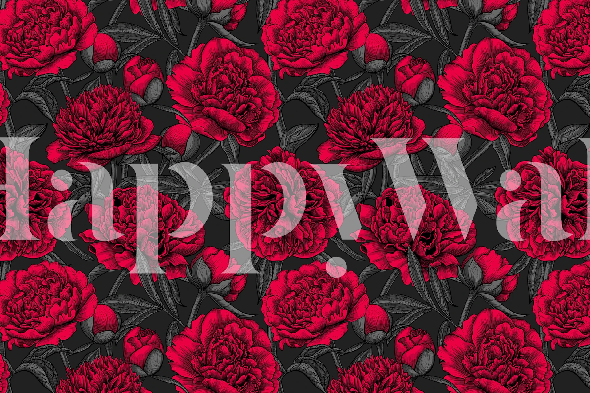Red peony flowers on a dark background wallpaper