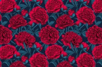 Red peony garden on dark blue tapeta