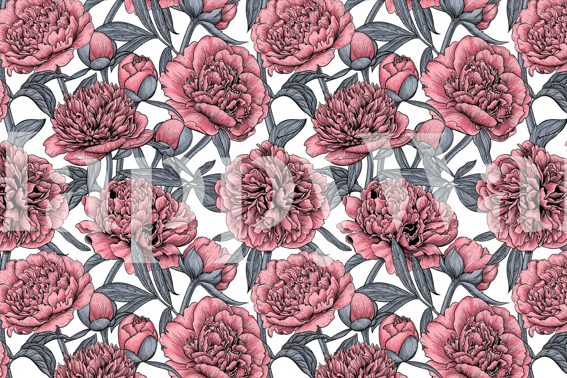 Pink peony flowers with green leaves wallpaper