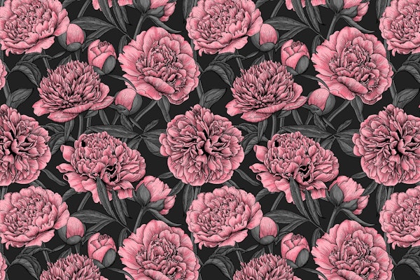 Pink peony garden 2