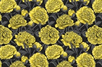 Yellow peony garden 2 carta da parati