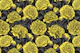 Yellow peony garden 2