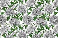 White peony garden wallpaper
