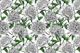 White peony garden