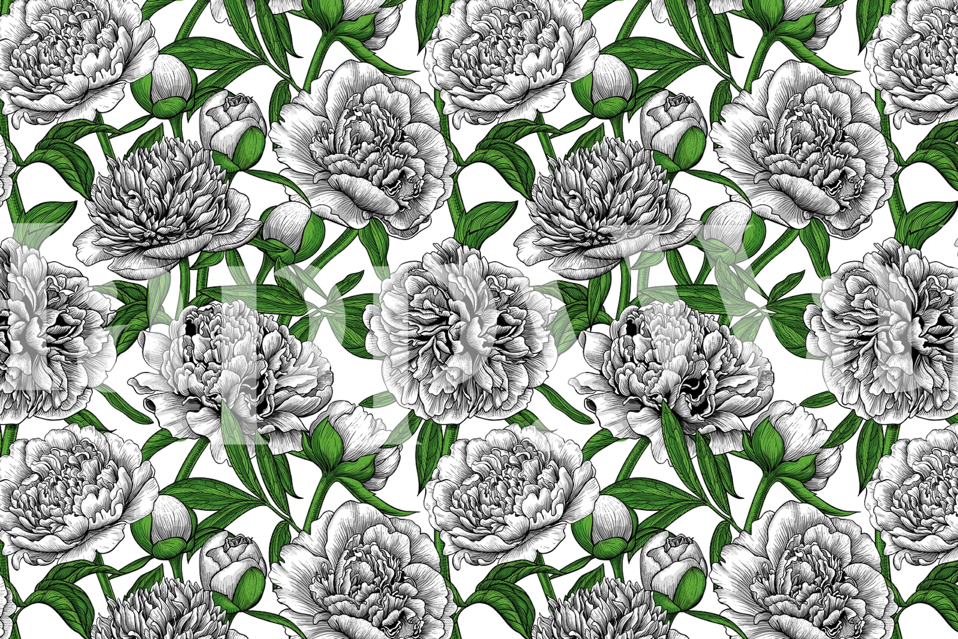 Floral design featuring white peonies with green leaves wallpaper