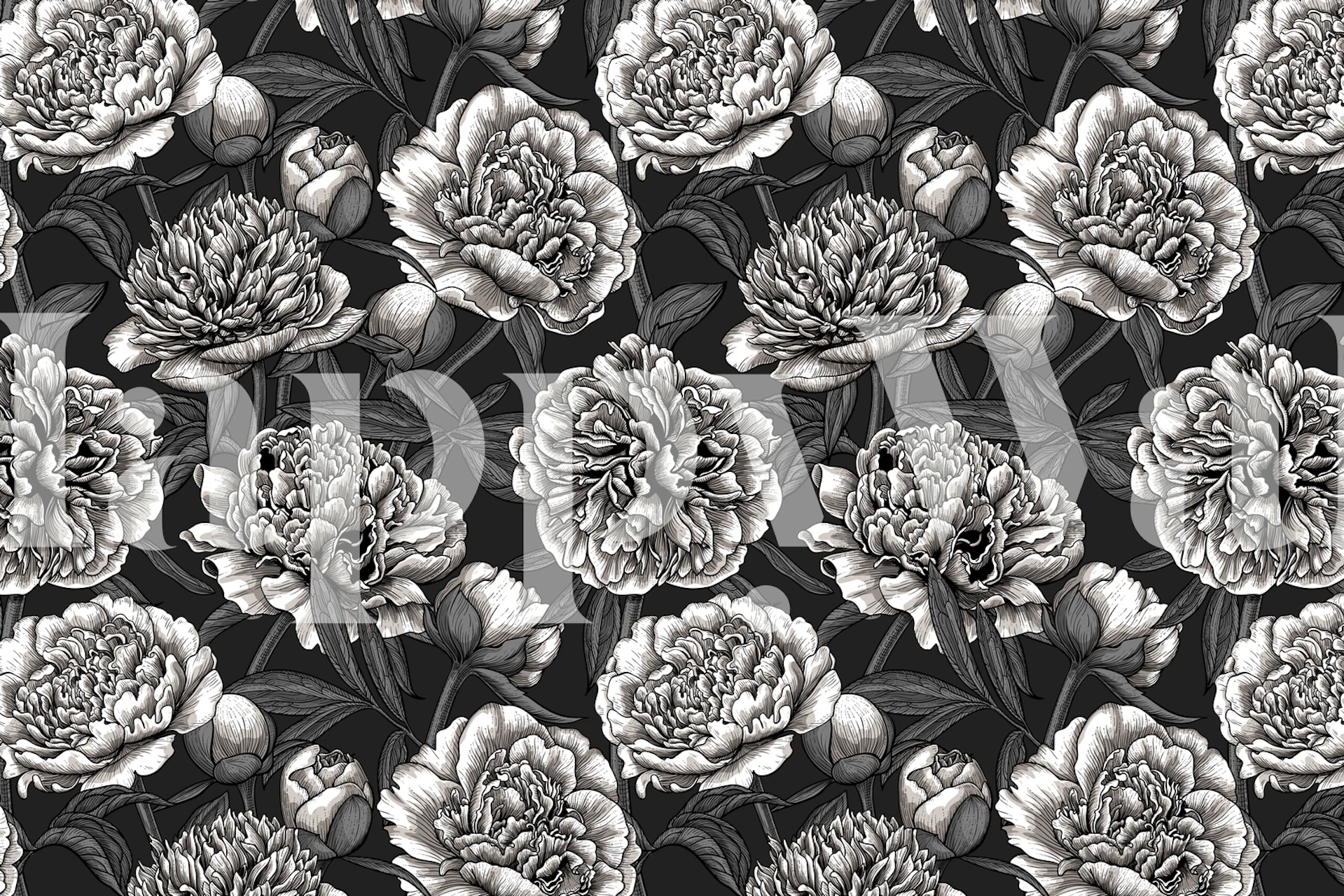 En tapet i gråskala som visar en lummig trädgård med blommande vita pioner.