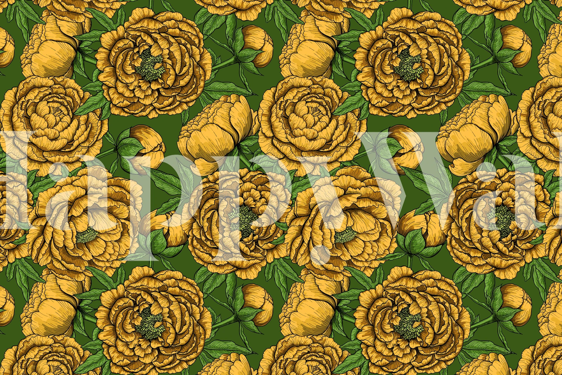 Yellow peony flowers with green leaves wallpaper