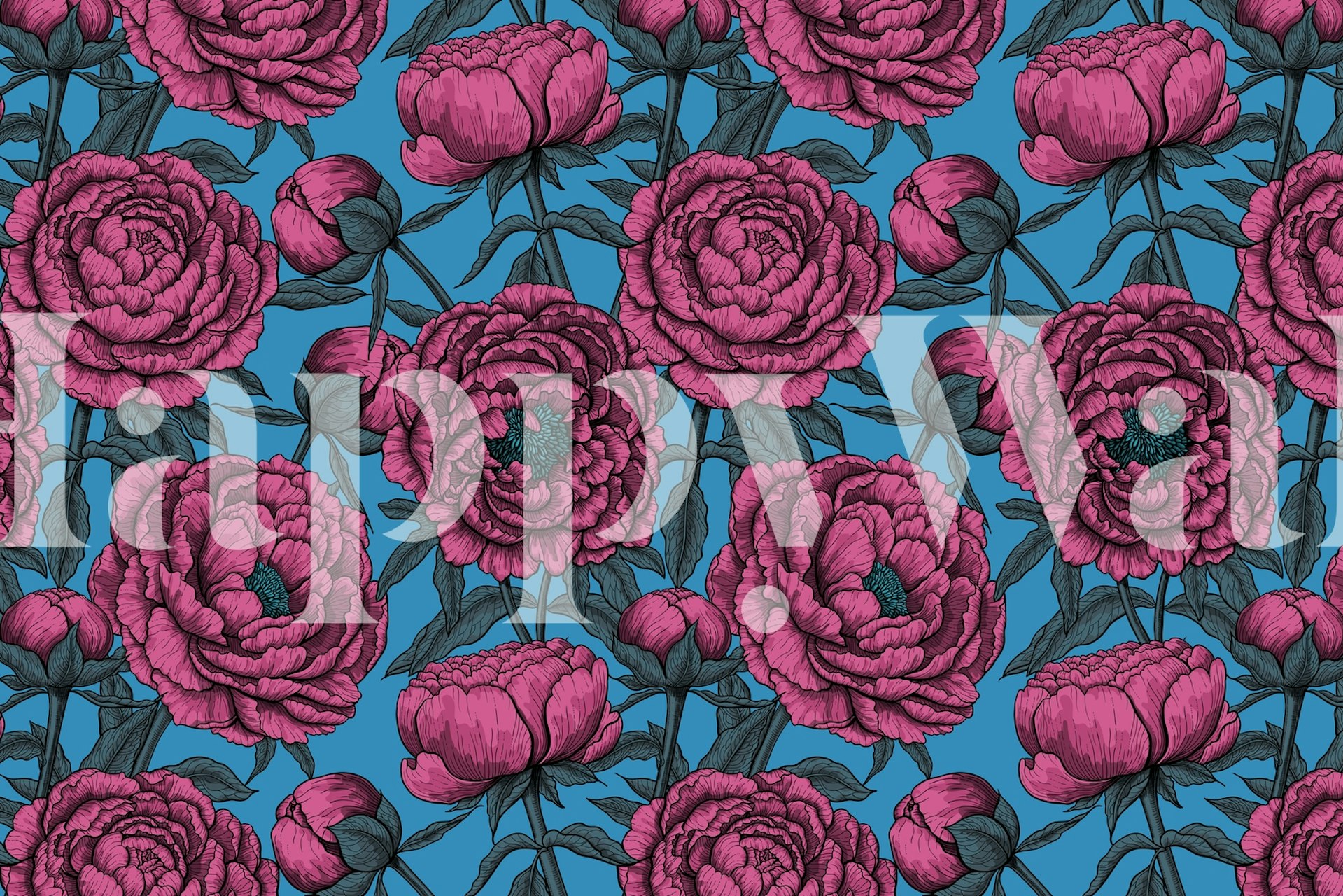 Pink peony flowers wall mural on a blue background