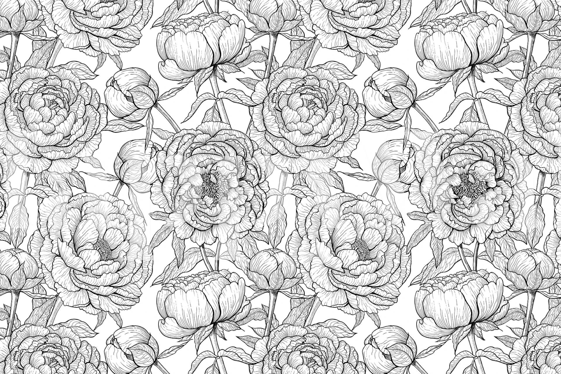Peony flowers wallpaper in a room