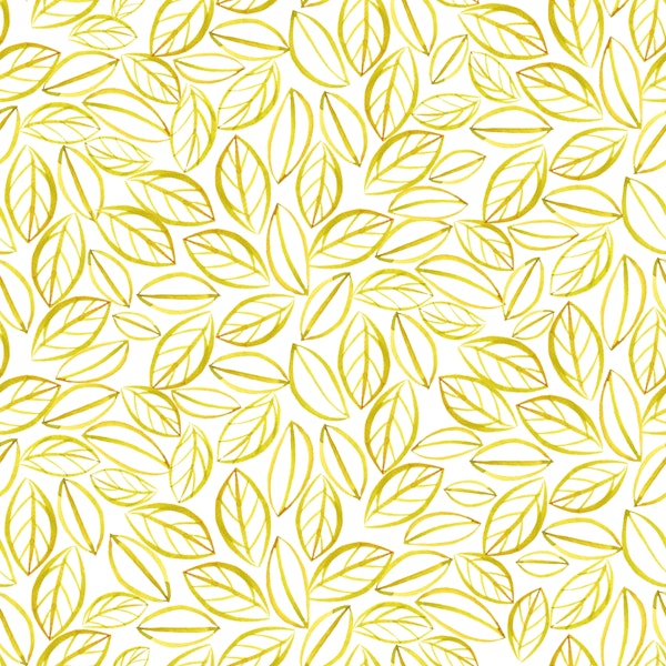 Lime leaves on white