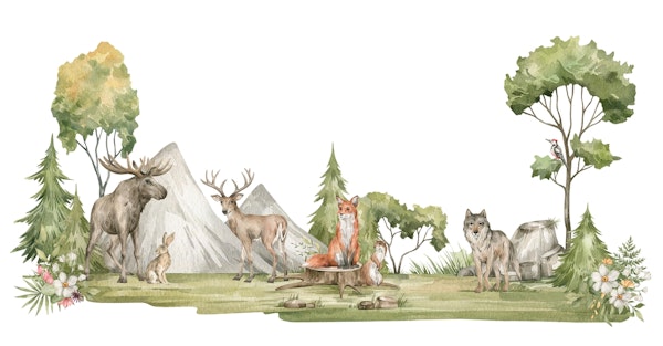 Forest animals and nature