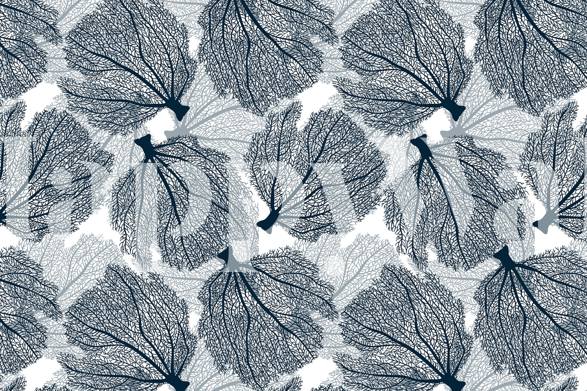 Botanical leaf pattern in navy and white wallpaper