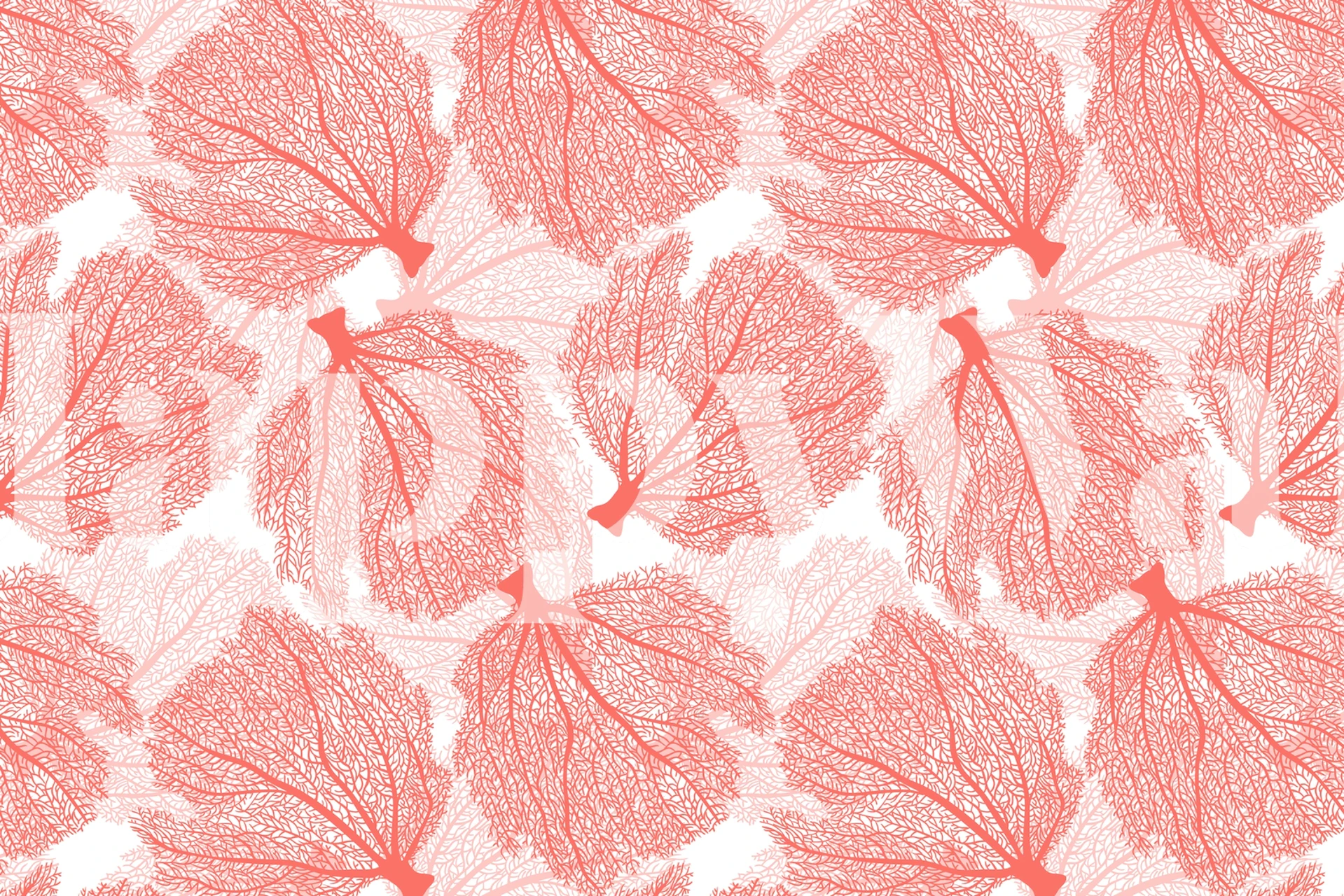 Coral leaf pattern on white background wallpaper