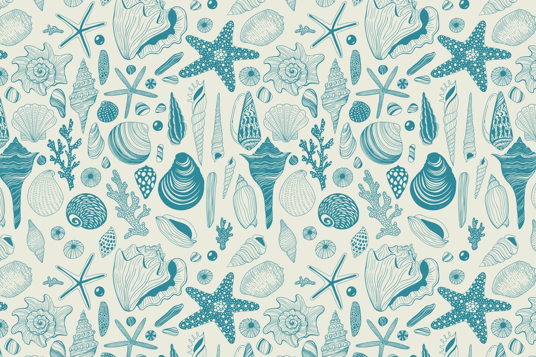 Sea Shells Wallpaper - Bring the Beach Home | Happywall