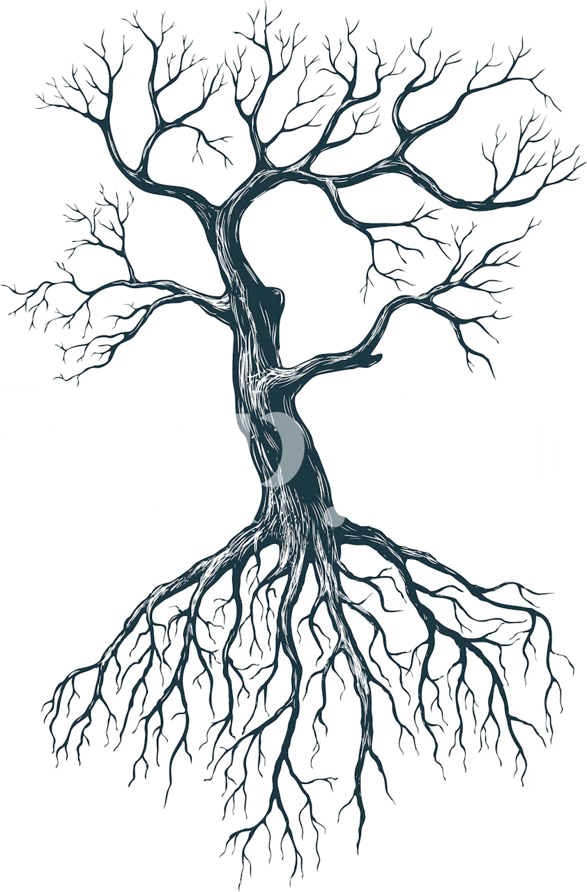 Black and white tree mural with intricate roots and branches wallpaper