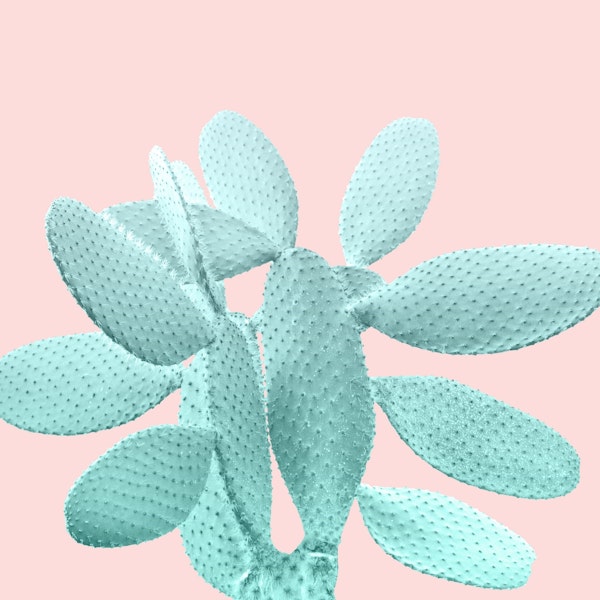 Blush Cacti Vibes 1