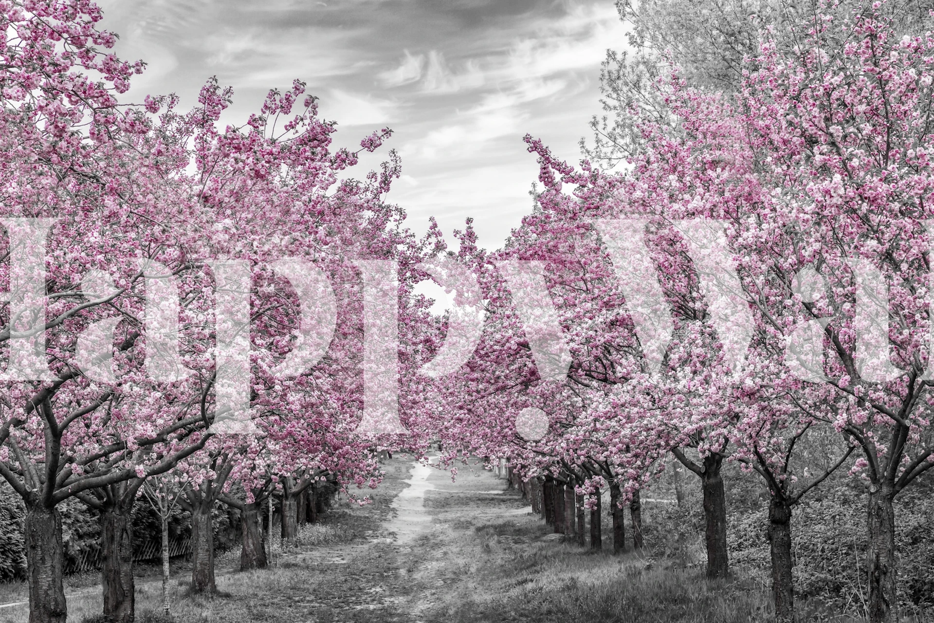 Kirschblütentapete in einem Raum