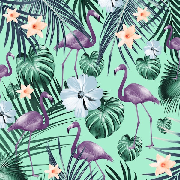 Tropical Flamingo Flower 5